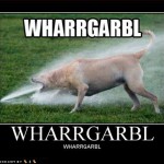 funny-dog-pictures-loldogs-wharrgarbl